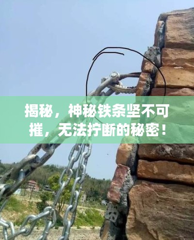 企业优势 第116页