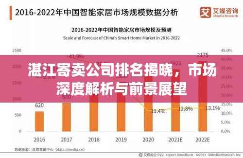 湛江寄卖公司排名揭晓,市场深度解析与前景展望