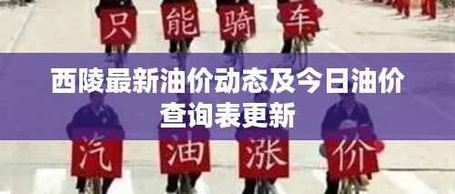 西陵最新油价动态及今日油价查询表更新