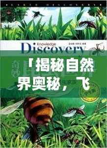 「揭秘自然界奥秘,飞禽走兽的奇妙世界,百度带你探索未知领域」