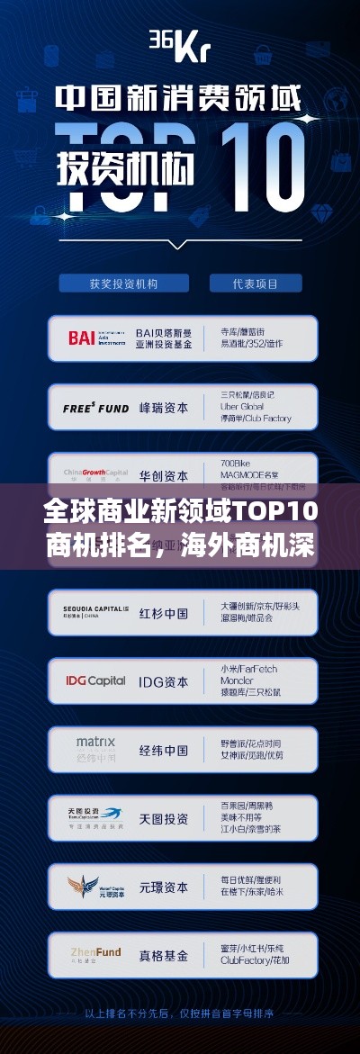 全球商业新领域TOP10商机排名,海外商机深度探索