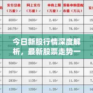 今日新股行情深度解析,最新股票走势一网打尽