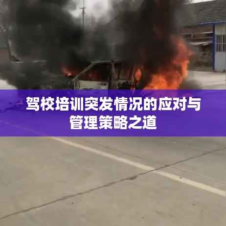 驾校培训突发情况的应对与管理策略之道