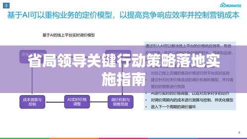 省局领导关键行动策略落地实施指南
