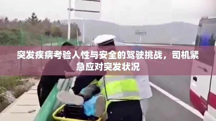 突发疾病考验人性与安全的驾驶挑战,司机紧急应对突发状况