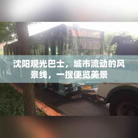 沈阳观光巴士,城市流动的风景线,一搜便览美景