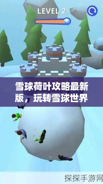 雪球荷叶攻略最新版,玩转雪球世界的终极指南